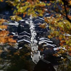 中国の渡航自粛、観光庁長官「影響を注視」　10月は