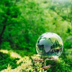 緑の中にただずむ水晶の地球