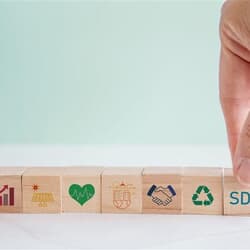 SDGsの絵柄が描かれたブロック