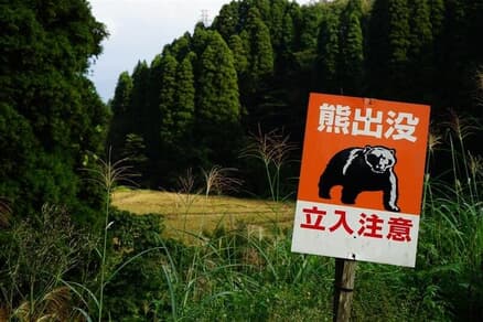 首都圏「クマ出没」要注意エリア