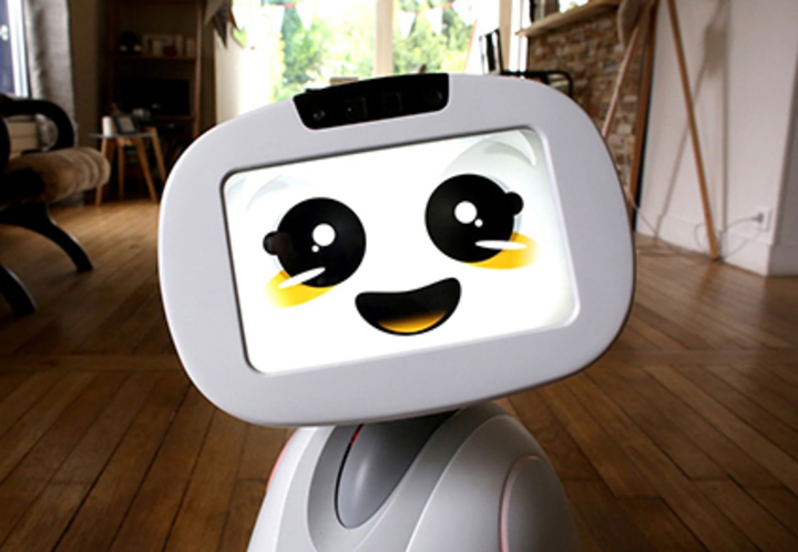ソーシャルロボット「百花繚乱」時代に ソーシャルロボット「百花繚乱」時代に