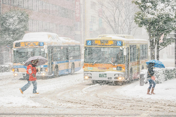 雪 雪