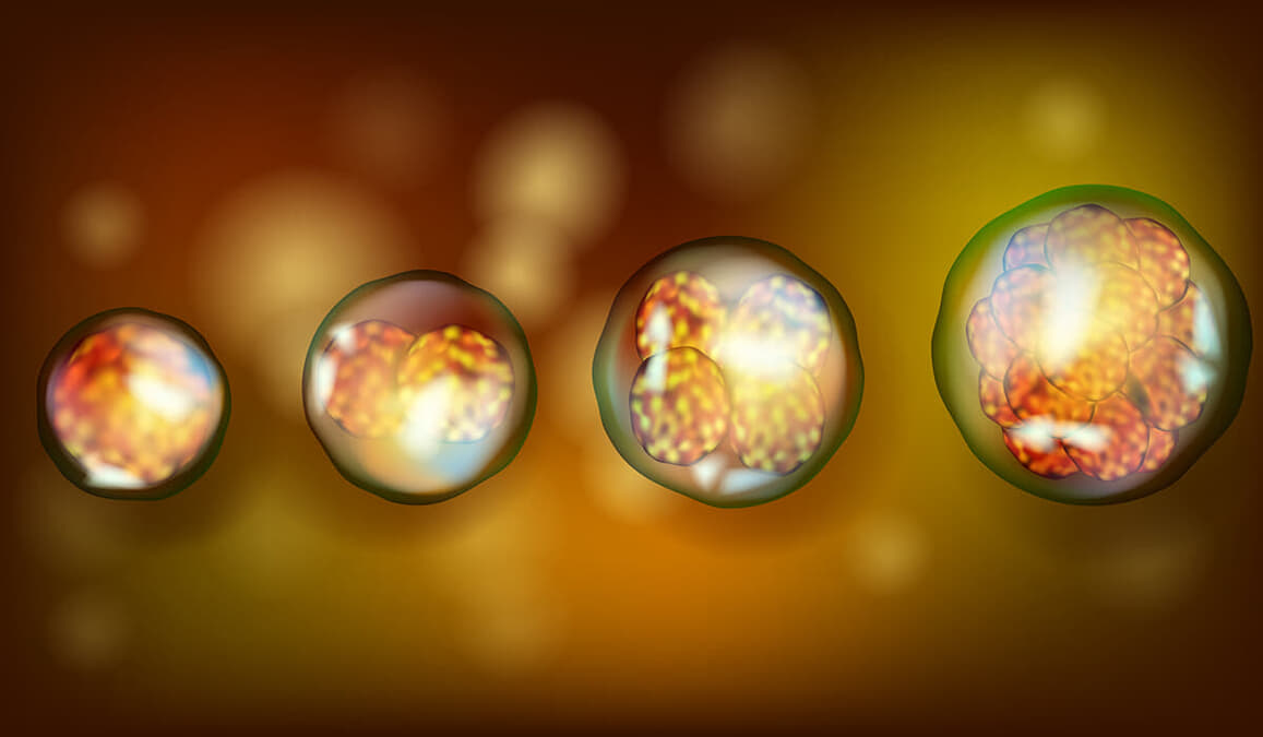 embryo-thumb-autox675-986725.jpg