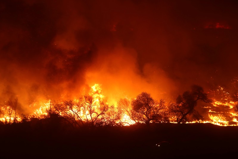 米カリフォルニア州の山火事 トーマス 史上3番目の規模に ワールド ニュース速報 ニューズウィーク日本版 オフィシャルサイト 米カリフォルニア州の山火事 トーマス 史上3番目の規模に ワールド ニュース速報 ニューズウィーク日本版 オフィシャルサイト