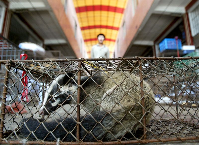 https://www.newsweekjapan.jp/headlines/images/world/2020/02/21/2020-02-21T024458Z_2_LYNXMPEG1H02D_RTROPTP_3_SARS-CHINA-MARKET.jpg