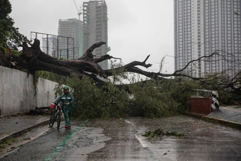 フィリピン中銀 予想外の利下げ 相次ぐ台風やコロナ禍が経済に打撃 ワールド ニュース速報 ニューズウィーク日本版 オフィシャルサイト
