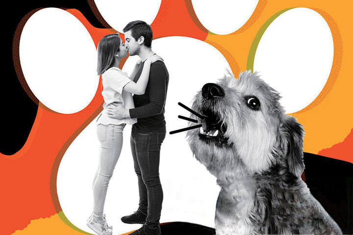 人生相談 彼氏とキスすると愛犬がほえる スレート誌人生相談員 コラム ニューズウィーク日本版 オフィシャルサイト