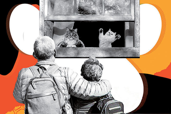 【人生相談】「猫嫌いの義父母にキレそう」ウィンウィンな解決策は? 【人生相談】「猫嫌いの義父母にキレそう」ウィンウィンな解決策は?