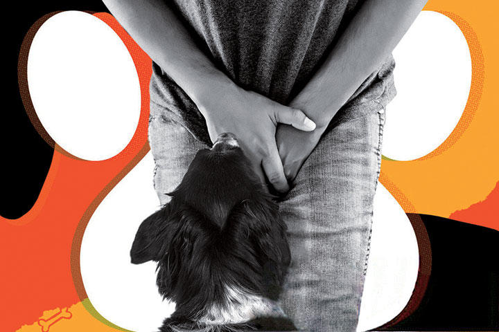 「気に入った男性の○○に頭を突っ込みます」うちのオス犬のヘンな癖【人生相談】 「気に入った男性の○○に頭を突っ込みます」うちのオス犬のヘンな癖【人生相談】