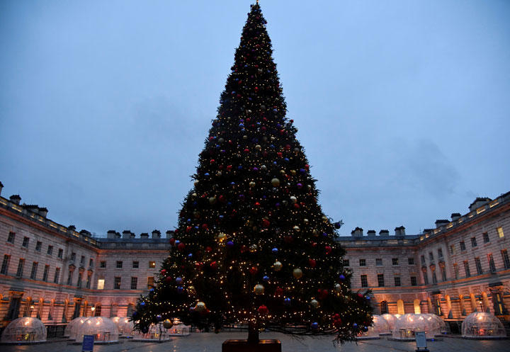 「クリスマスなし」の衝撃から立ち直れないイギリス 「クリスマスなし」の衝撃から立ち直れないイギリス