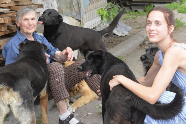 ウクライナの動物シェルター ウクライナの動物シェルター