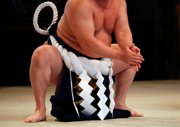 大相撲、力士 大相撲、力士