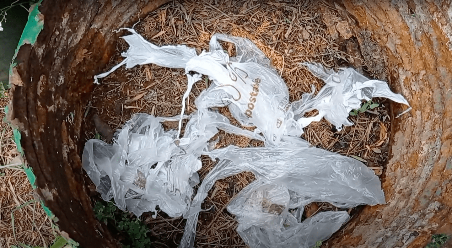 スクリーンショット 2022-06-13 午後8.01.12.png