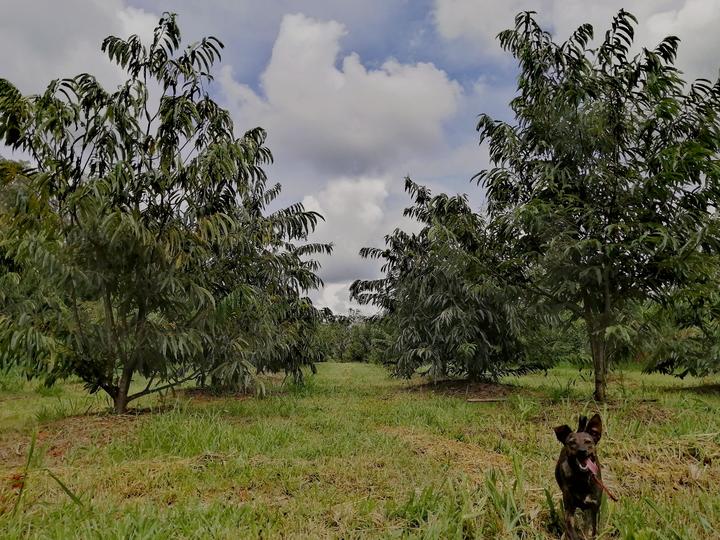 IMG_20210120_210629.jpgのサムネイル画像