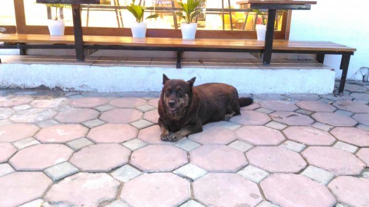 P_20170911_181310 (1).jpg