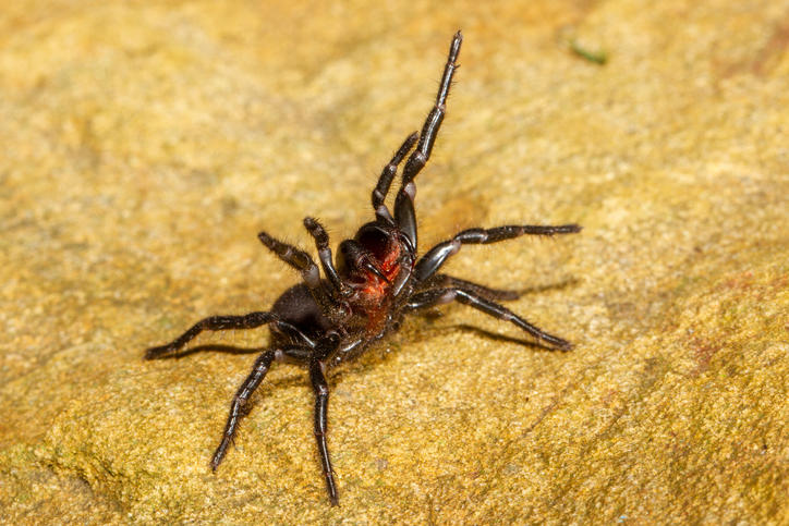 Ken Griffiths-iStock.jpg