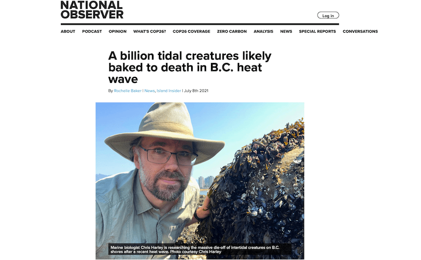 National Observer.png