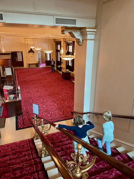 オープンたて - 2.jpeg