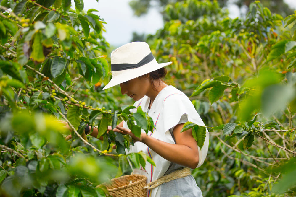 shutterstock_1965090946 (1).jpg