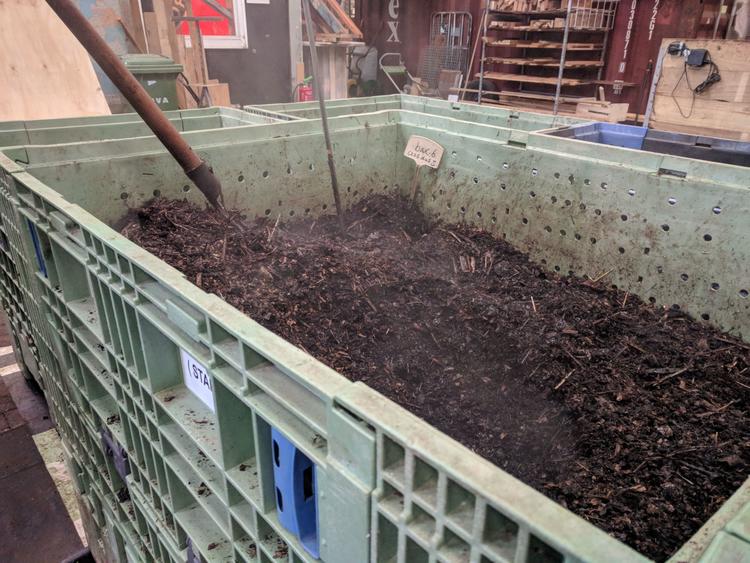 IMG_20201219 thermophilic.jpg