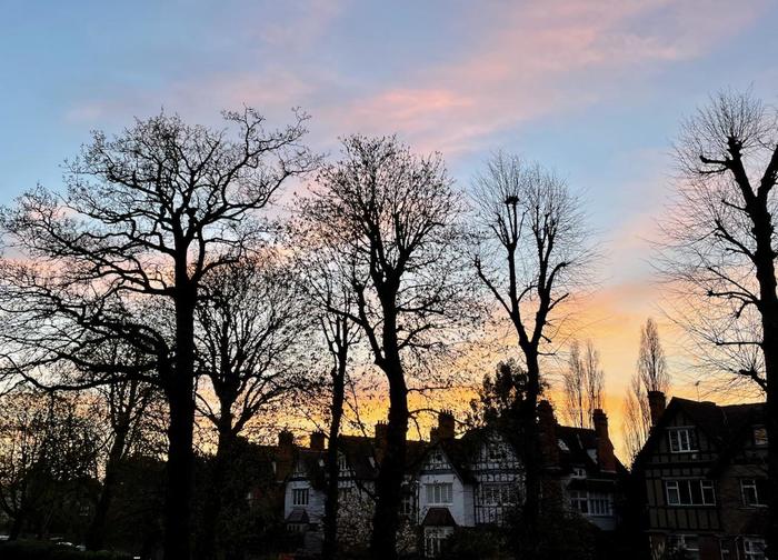 春ですね - 3.jpeg