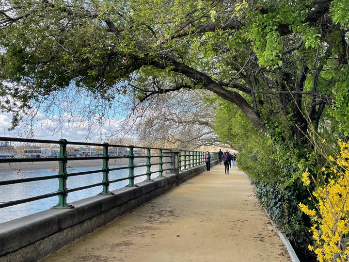 boatrace plus - 1.jpeg