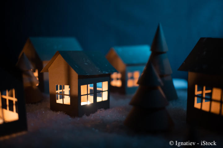 © Ignatiev - iStock-1205548407.jpg