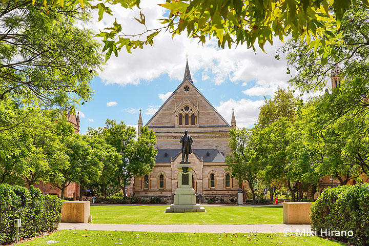 adelaide2.jpg