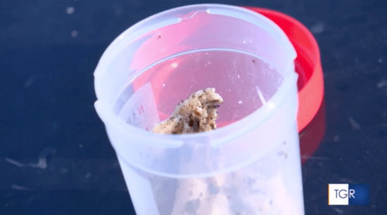 スクリーンショット 2023-12-05 14.39.41.png