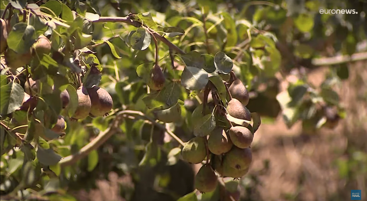 スクリーンショット 2022-10-12 午後6.08.59.png