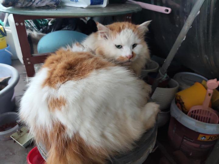 IMG_20210313_173440_583 (1).jpg