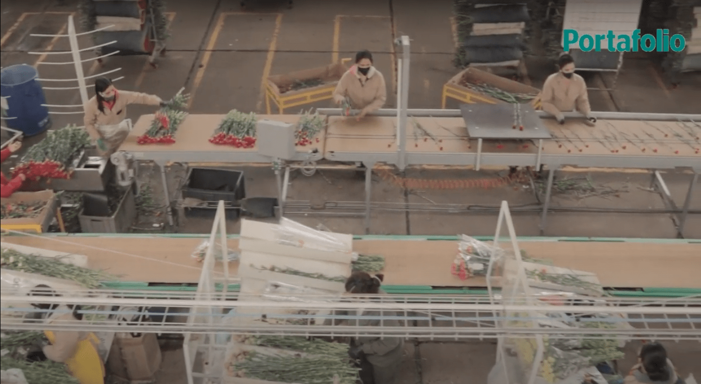 スクリーンショット 2022-05-08 午後10.25.19.png