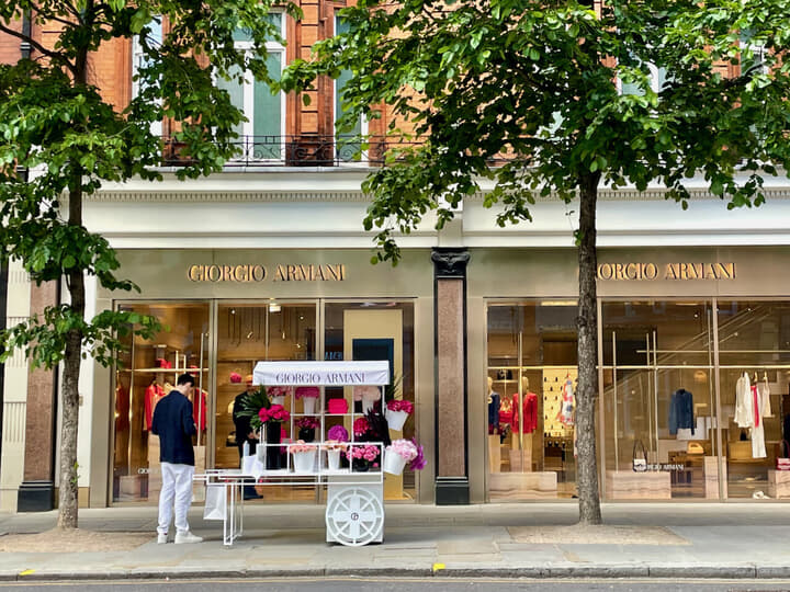 チェルシー - 1.jpeg