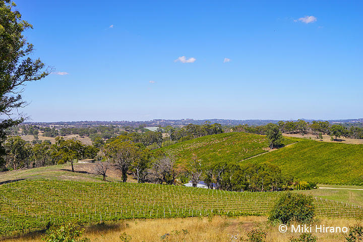 AdelaideHills.jpg
