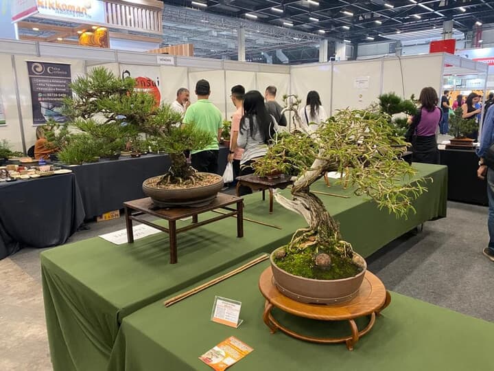 WhatsApp Image 2023-07-15 at 00.10.50.jpeg