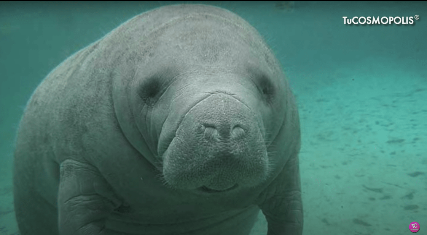 スクリーンショット 2021-10-22 午前7.12.04.png