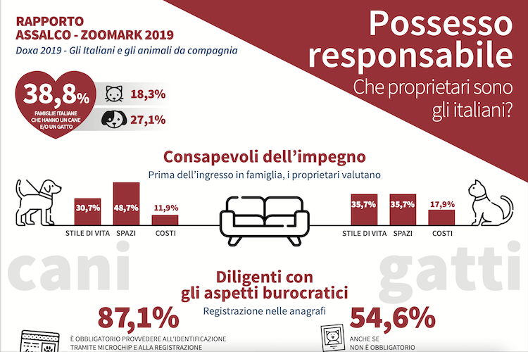 dati gatti cani yoko750.png