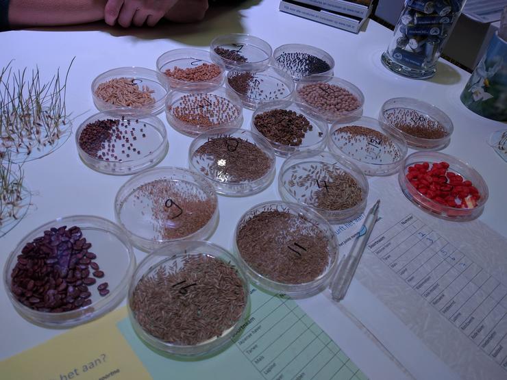 IMG_20191206_130436 samples.jpg