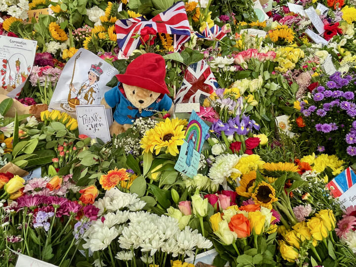 クイーンpad - 1.jpeg