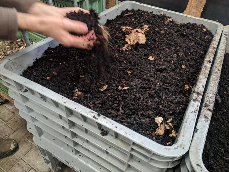 IMG_20201219 thermophilic complete.jpg