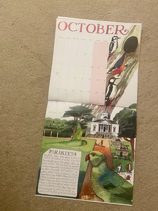 パラキートカレンダー - 1.jpeg