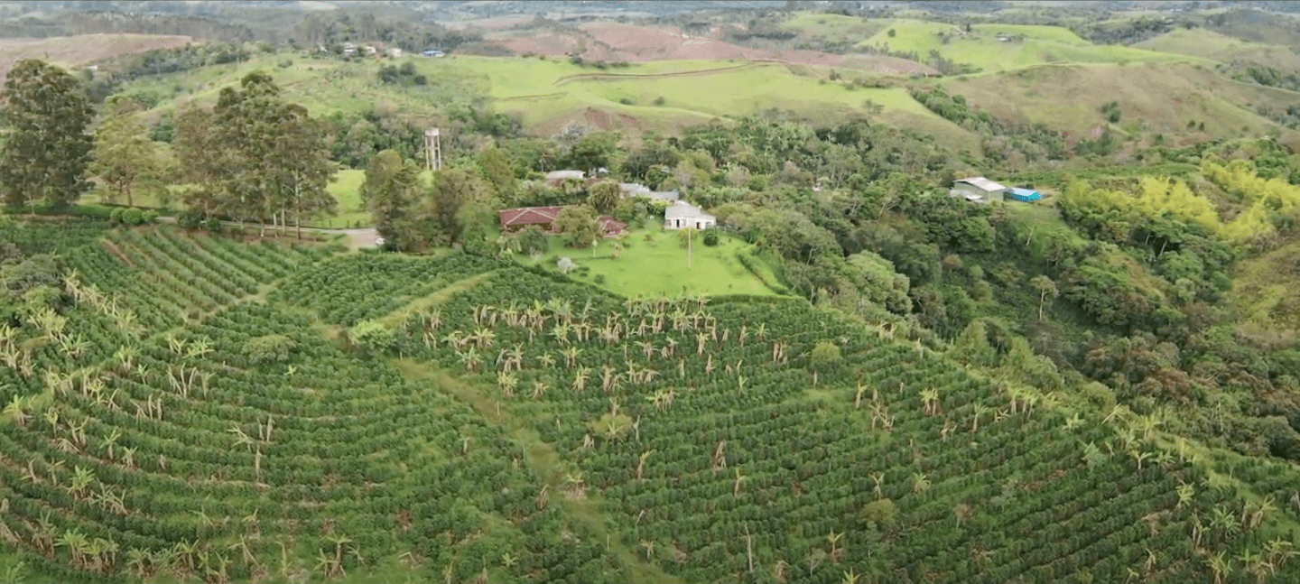 スクリーンショット 2021-10-12 午後11.33.37.png