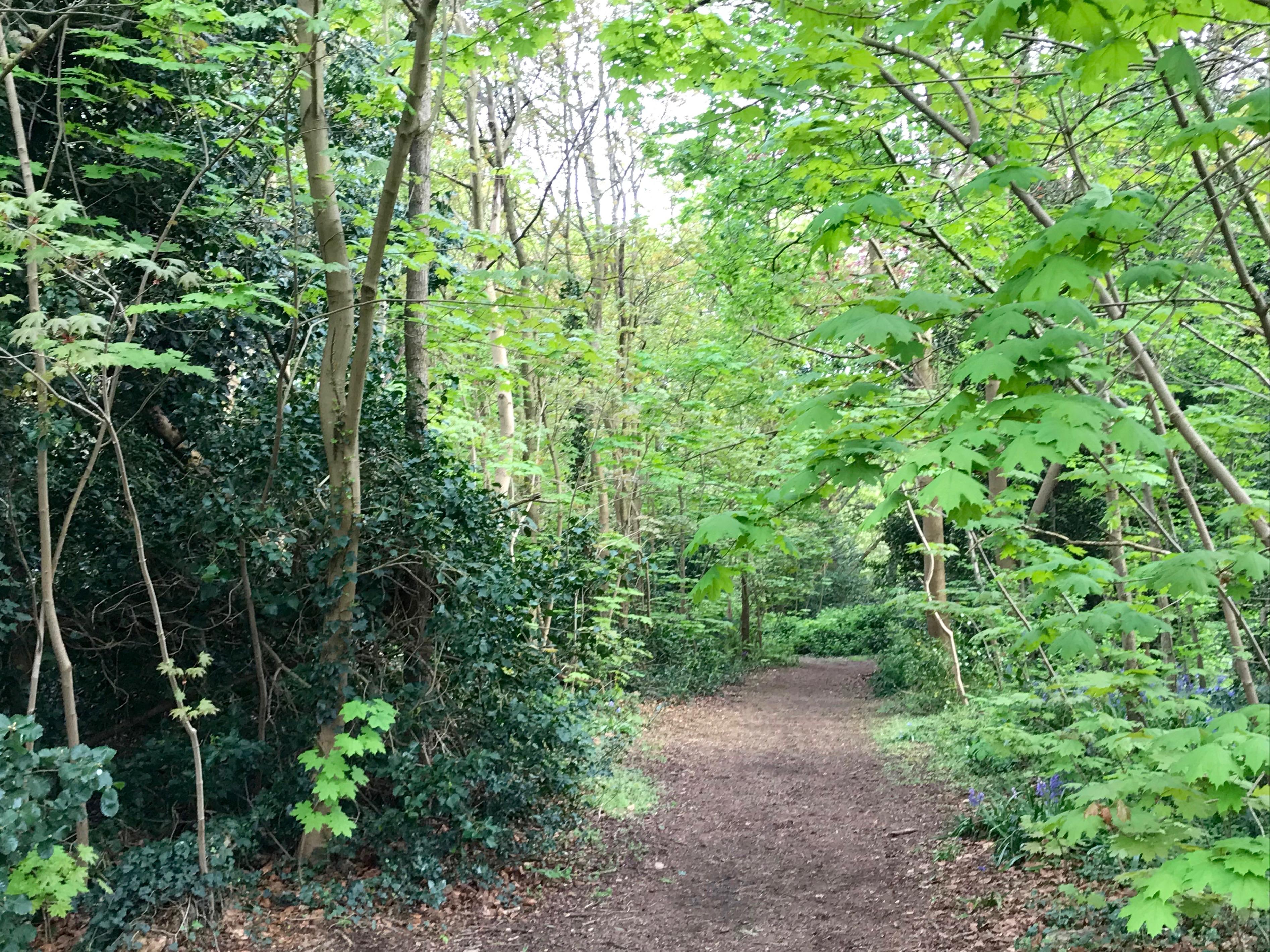 NW1original - 10.jpg