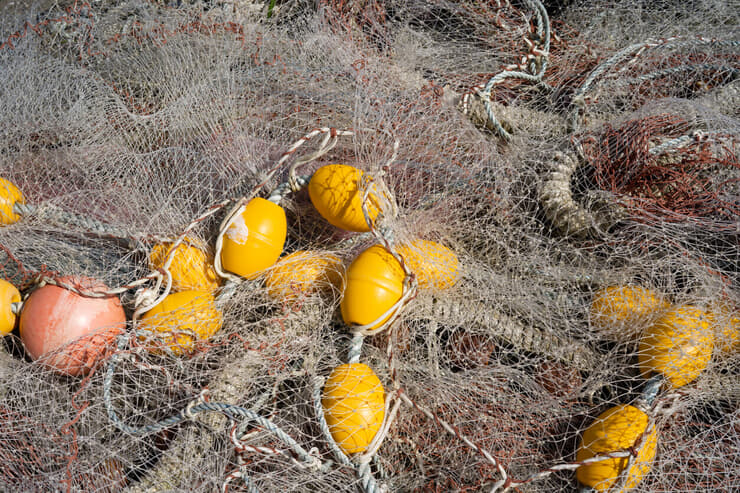 IMG20220801164503 icebergpicture.jpg