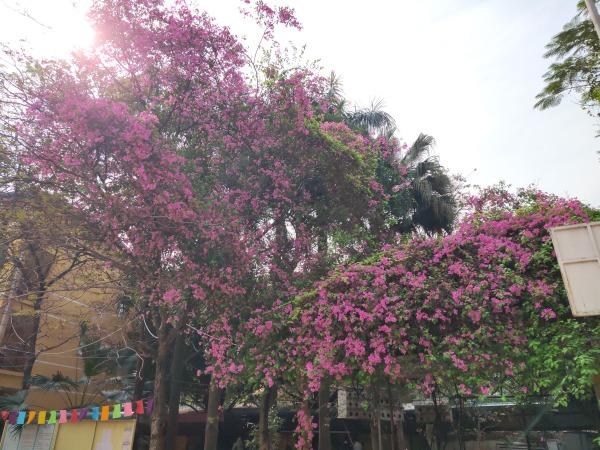 IMG_20220328_145949_460 (1).jpg