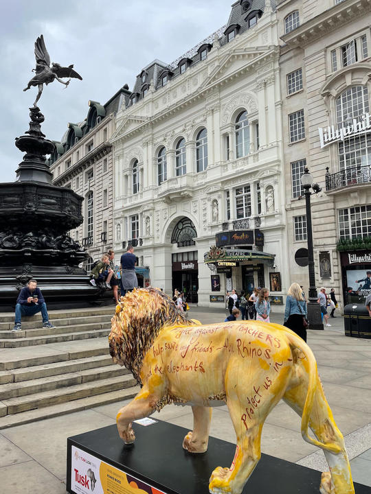 ライオンtate - 1.jpeg