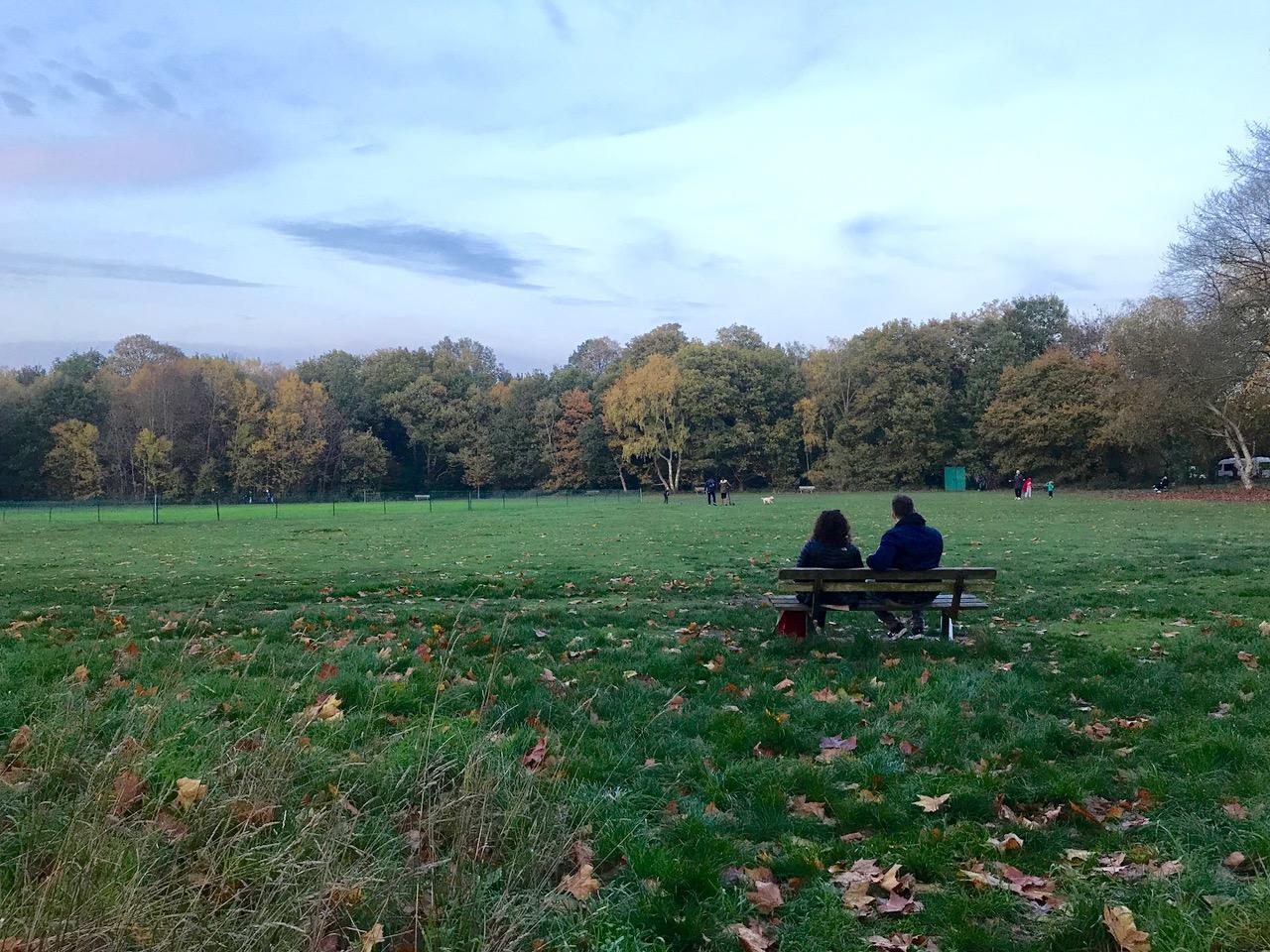 ベンチ - 1.jpg