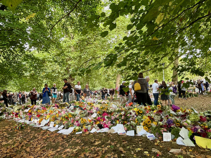 クイーン - 5.jpeg