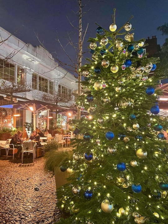 オミクロンたて - 1.jpeg