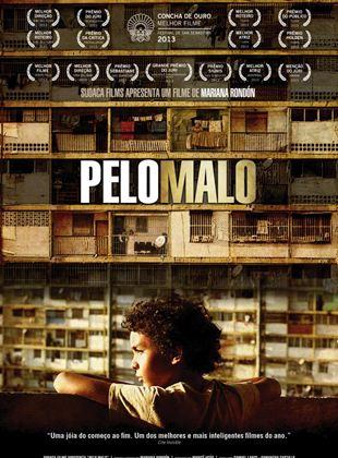 pelo malo 1.jpg